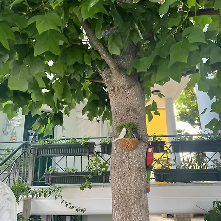 Casa vacanze Vg Vrasná